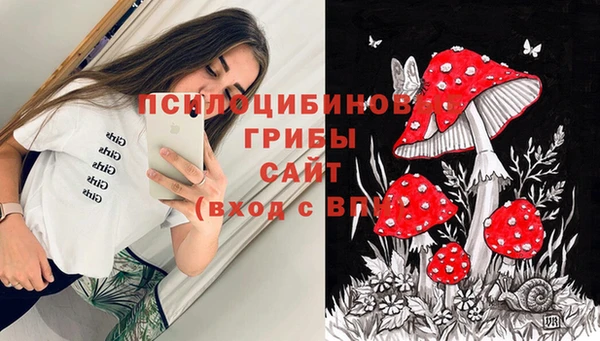 марки nbome Белокуриха