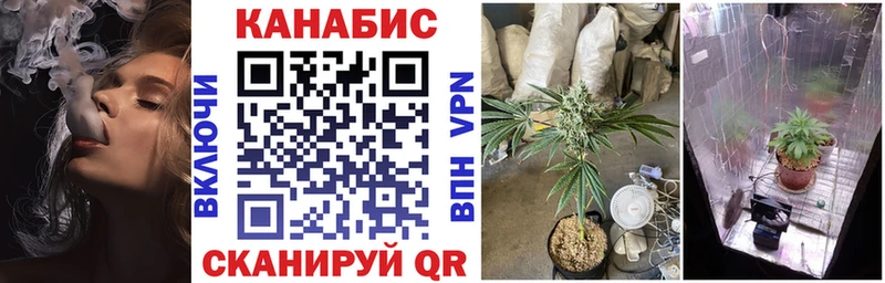 где найти наркотики  Чадан  Шишки марихуана семена 